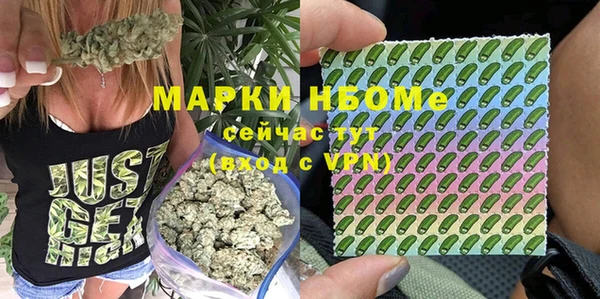 МДПВ Алзамай