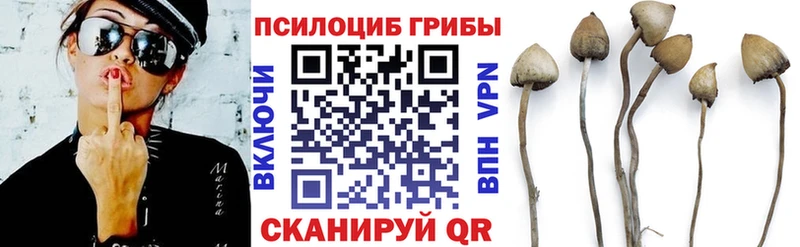как найти наркотики  Ставрополь  Псилоцибиновые грибы MAGIC MUSHROOMS 