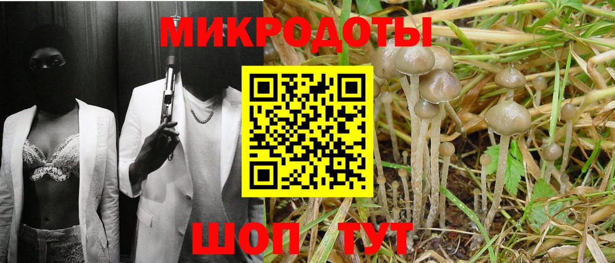 Псилоцибиновые грибы GOLDEN TEACHER Ставрополь