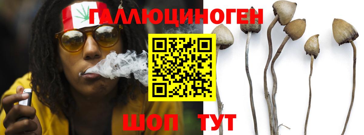 купить  сайты  Вход с VPN  Галлюциногенные грибы прущие грибы  Ставрополь  Псилоцибиновые грибы ЛСД 