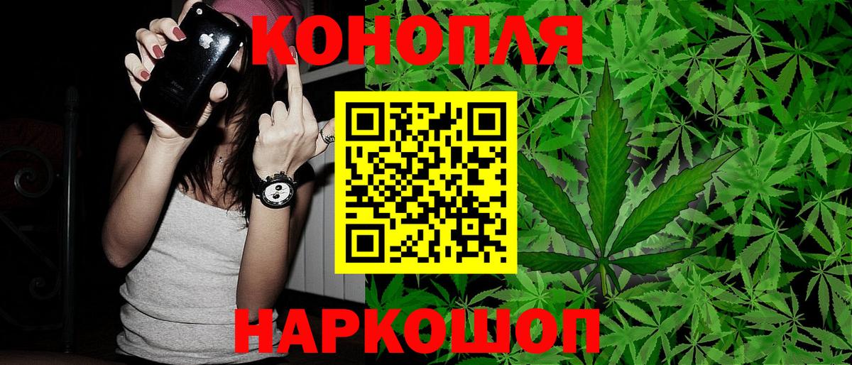 Шишки марихуана SATIVA & INDICA  Вход с VPN  Бошки марихуана OG Kush  Ставрополь  Марихуана конопля  Бошки марихуана ГИДРОПОН 